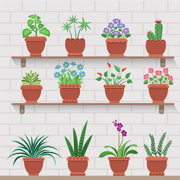 Indoor Plants on Shelves Attached to Brick Wall — Stock Vector