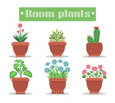 Saksı çiçeği ve sivri ile bitkilerde oda ayarla