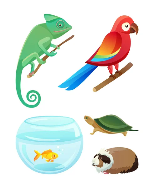 Conjunto de mascotas amistosas de especies y razas exóticas — Vector de stock