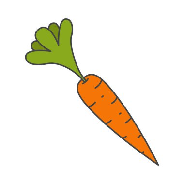 Olgun havuç yaprakları düz vektör simgesi olan