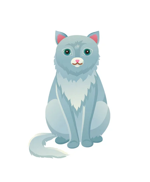 Gato sentado tranquilamente doméstico mascota vector ilustración — Vector de stock