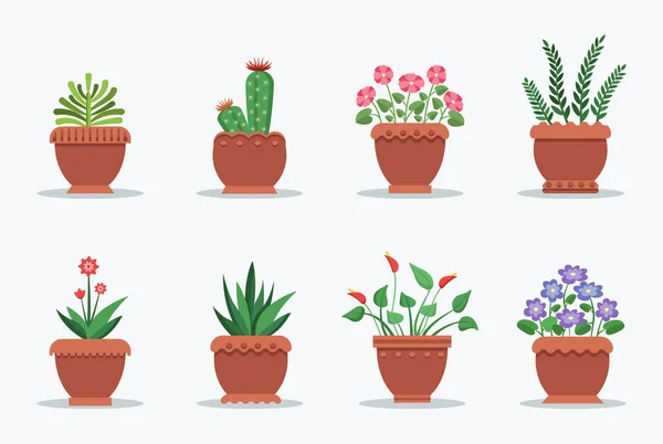 Collezione di piante in vaso Illustrazione vettoriale — Vettoriale Stock