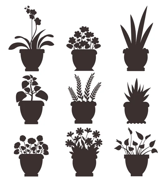 Casa piante in vaso collezione vettoriale illustrazione — Vettoriale Stock