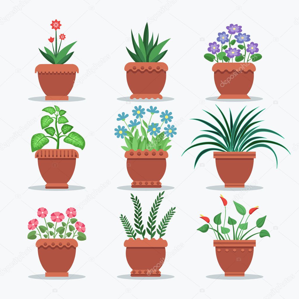 Room Plants Set Flourishing Vector Illustration
