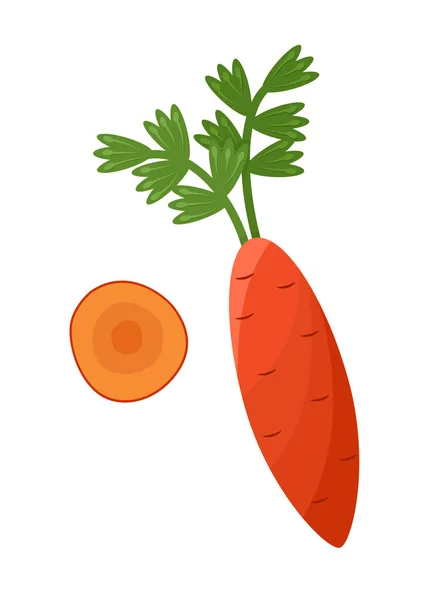 Zdravé oranžová mrkev se zelenými listy, zelenina — Stockový vektor