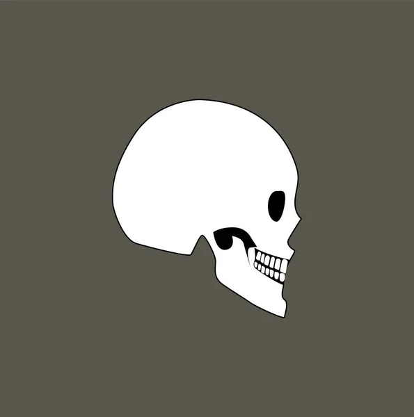 Skull of Human Profile View Vector Illustration