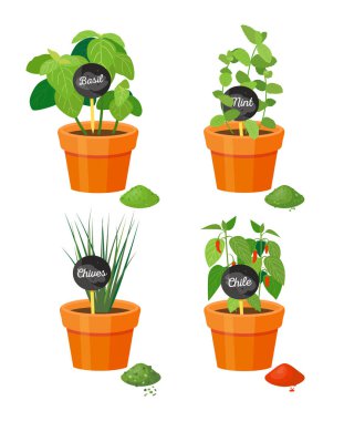 Plastik Çiçeklik kümesinde yetişen doğal baharat