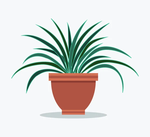 Casa Dracaena Vaso Plantas Com Folhas Longas Vaso Barro Arbusto — Vetor de Stock