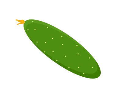 Salatalık ve çiçek sebze vektör çizim