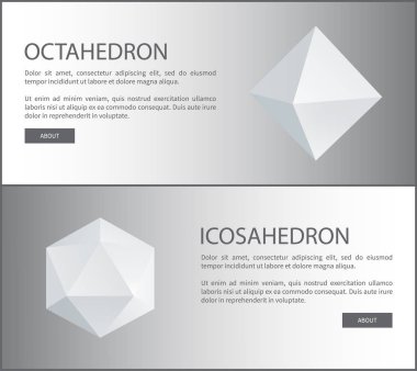 Octahedron ve Icosahedron üç boyutlu şekil