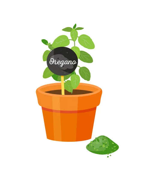 Oregano e Mesa com Ilustração do Vetor de Título — Vetor de Stock