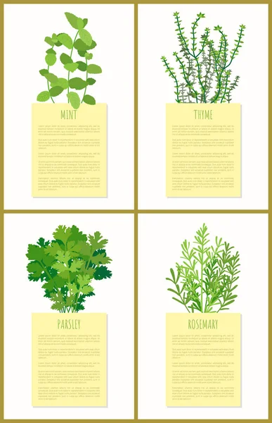 Nane kekik maydanoz ve biberiye çiçekler afiş ayarla