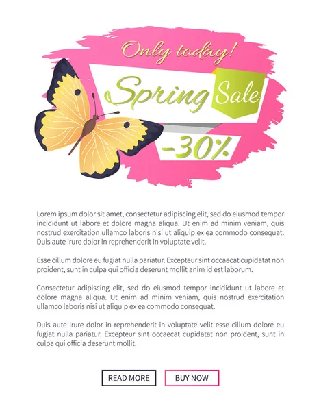 Venta grande de primavera oferta de descuento etiqueta mariposa — Vector de stock
