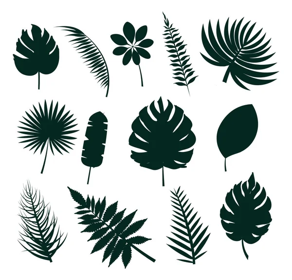 Leaves Silhouette Collection Vector Illustration — Stock Vector