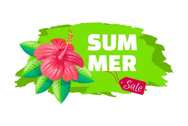 Summer Sale Emblem Exotic Pink Flower Brush Stroke — Stock Vector