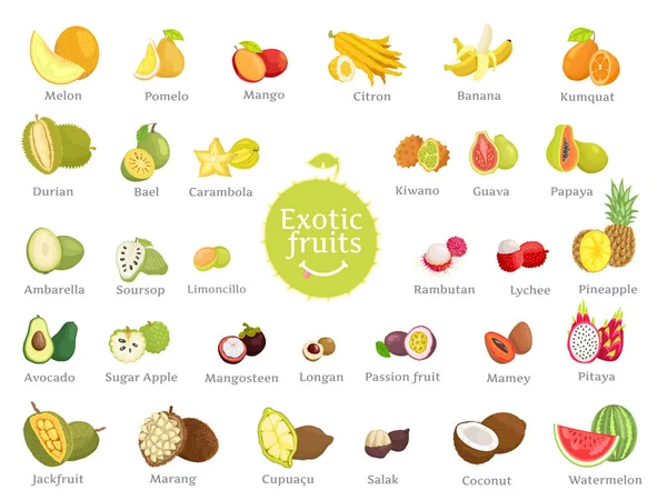 Finom egzotikus gyümölcsök tele vitaminok nagy készlet — Stock Vector