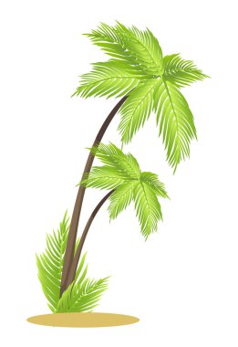 Uzun boylu tropikal palmiye ağaçları kum küçük parça