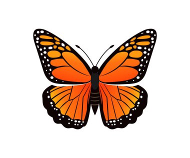 Viceroy Limenitis Archippus Vector Illustration clipart