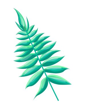 Royal Fern tropikal yaprak, vektör çizim