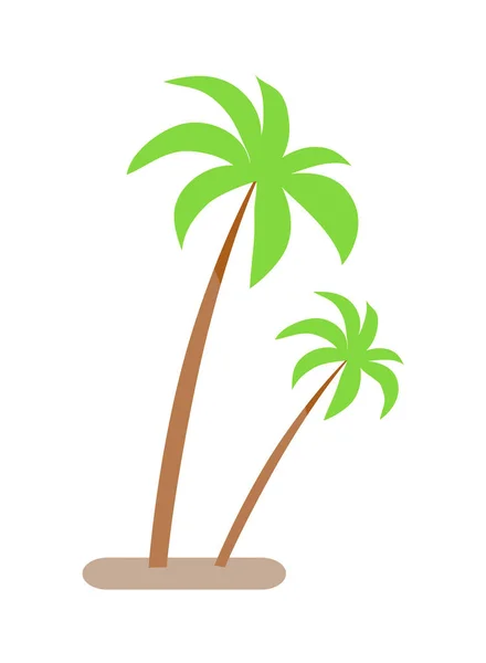 Palmy se zelenými listy a rostoucí kmen — Stockový vektor