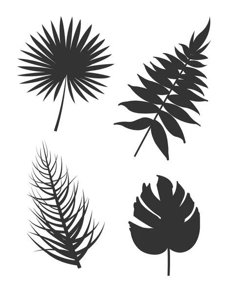 Leaf Collection Silhouette Vector Illustration — Stock Vector
