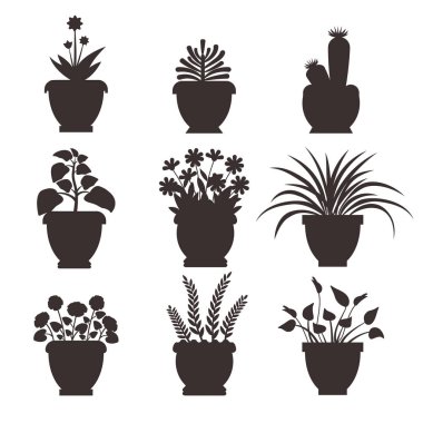 Ophiopogon kümesi siluet vektör çizim