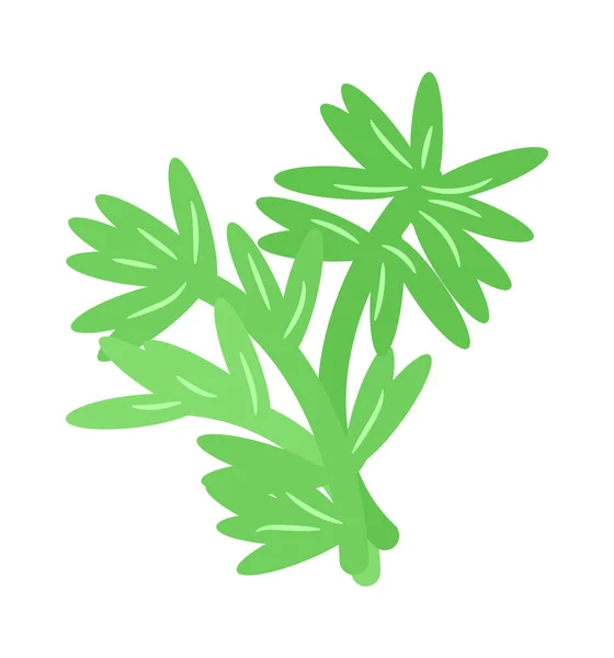 在白色背景下隔离的绿色植物模板 — 图库矢量图片