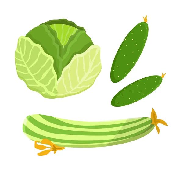 Cucumber Repolho Coleção Vector Ilustração — Vetor de Stock