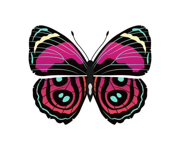 Illustrazione di vettore di Metalmark Riodinidae farfalla — Vettoriale Stock