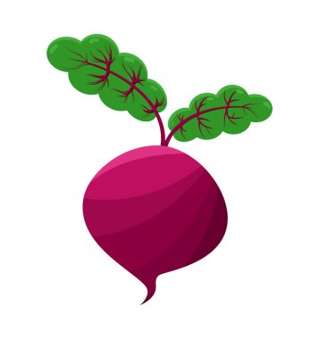 Beyaz arka plan üzerinde izole mor vektör pancar