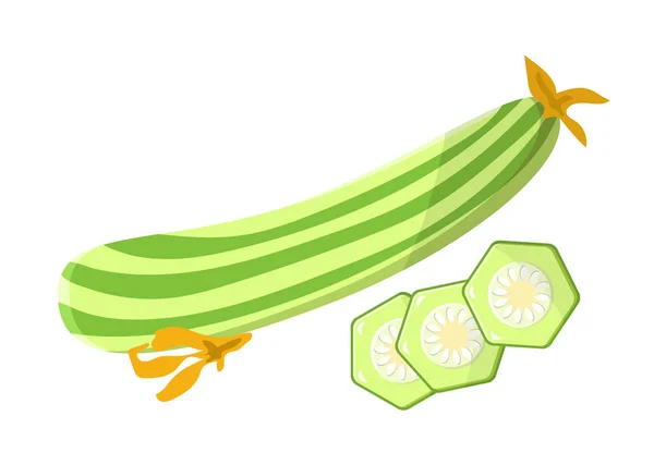 Marrow Vegetarian Food Meal Vector Ilustração — Vetor de Stock