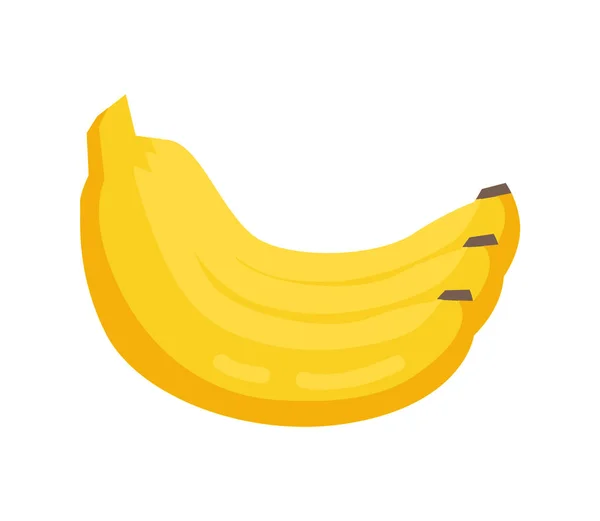 Banda banán vektorové ilustrace žluté zralosti plodu — Stockový vektor