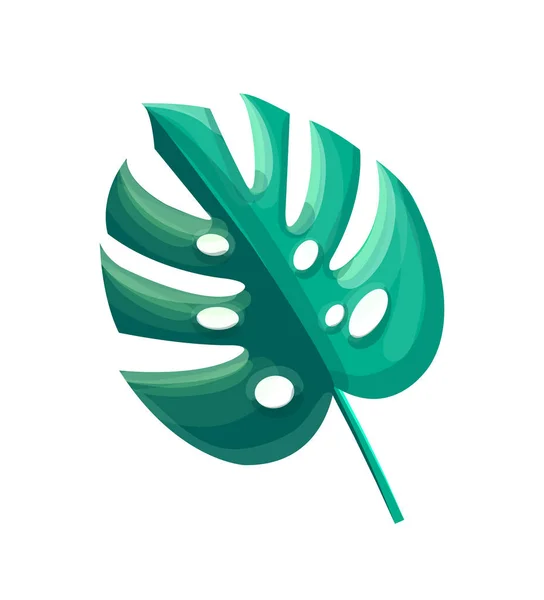 Illustration vectorielle de feuille de Monstera de plante d'été — Image vectorielle