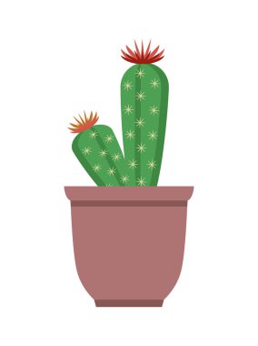 Kaktüs ile Top vektör çizim çiçek