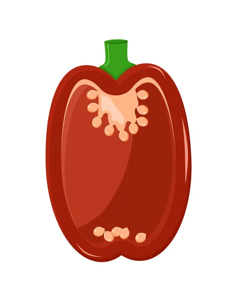 Pfeffer Gemüse der roten Farbe Vektor Illustration — Stockvektor