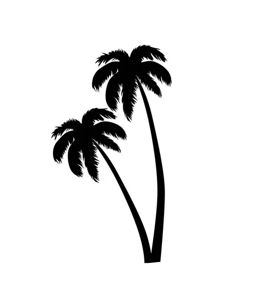 Palm Tree Leaves Silhouette Vector Illustration — Stock Vector