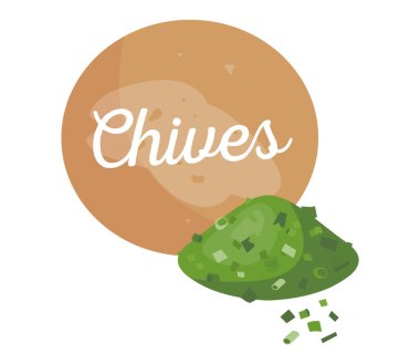 Frenk soğanı afiş ve başlık baharat vektör çizim