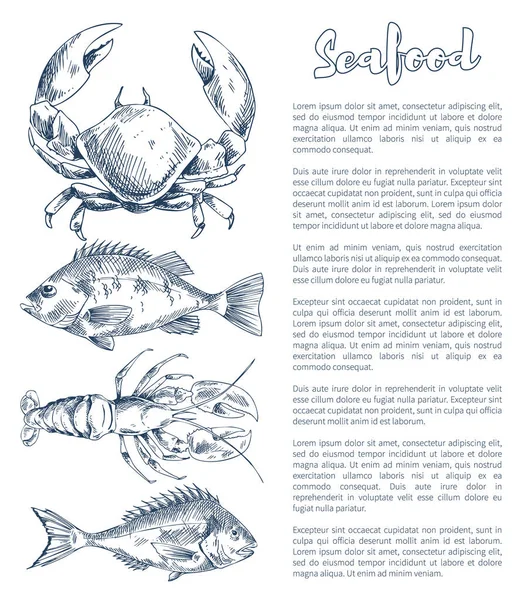 Istakoz ve kerevit, Çipura veya bas deniz ürünleri Poster — Stok Vektör