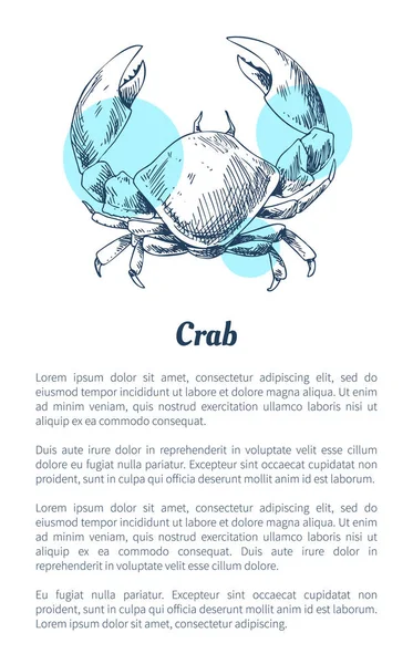 Caranguejo Cartaz de criatura marinha em estilo esboço com texto — Vetor de Stock