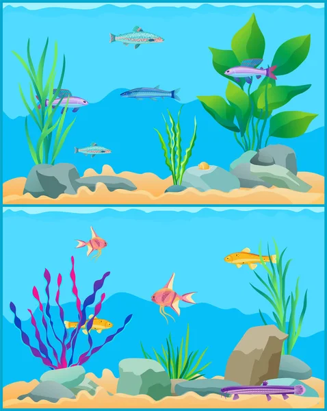 Scape Set ikan Underwater Vector Illustration - Stok Vektor