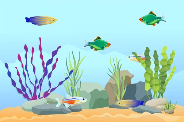 Poissons d'aquarium nageant parmi les pierres et les algues — Image vectorielle