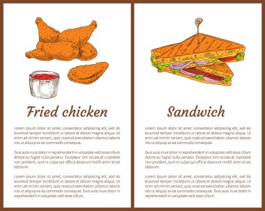 Kızarmış tavuk ve sandviç vektör çizim