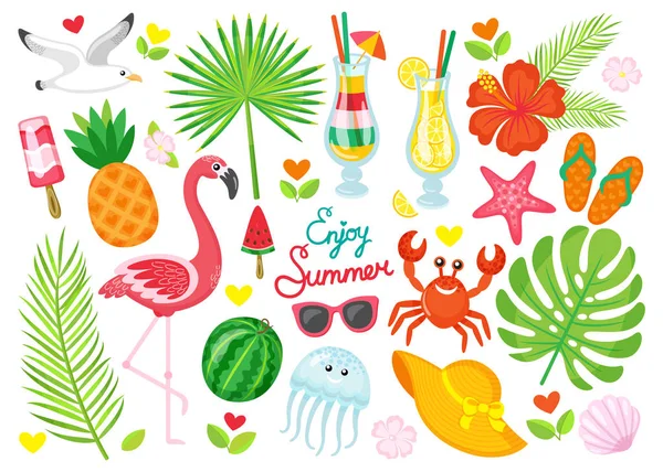 Disfrute de los elementos del cartel de verano conjunto Vector ilustración — Vector de stock