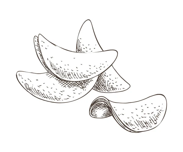 Chip Made of Potato Snack Vector Illustration - Stok Vektor