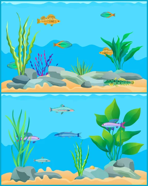 Colorato cartone animato Acquario Pesci Set Promo Poster — Vettoriale Stock