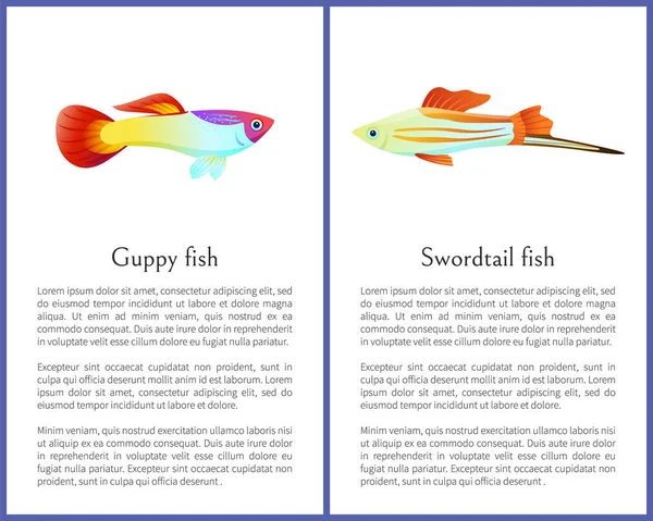 Guppy und Schwertschwanzfische isoliert auf weißen Symbolen — Stockvektor