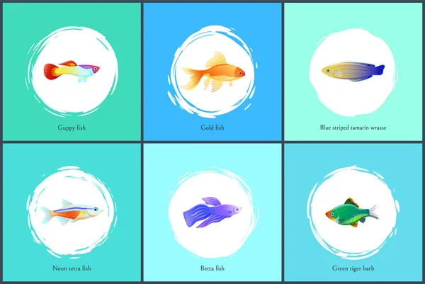 Neon Tetra Fisch blau Tamarin Vektor Illustration — Stockvektor