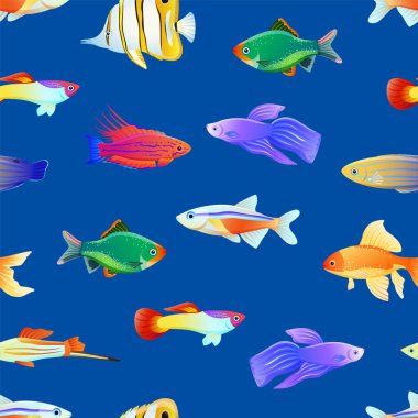 Varicoloured deniz canlıları Seamless modeli