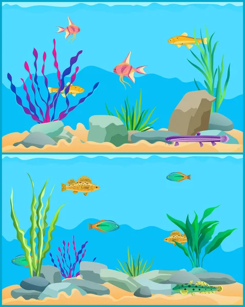 Scape Set ikan Underwater Vector Illustration - Stok Vektor