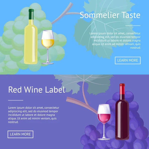 Sommelier Geschmack Rotwein Etikett Satz von Web-Poster — Stockvektor